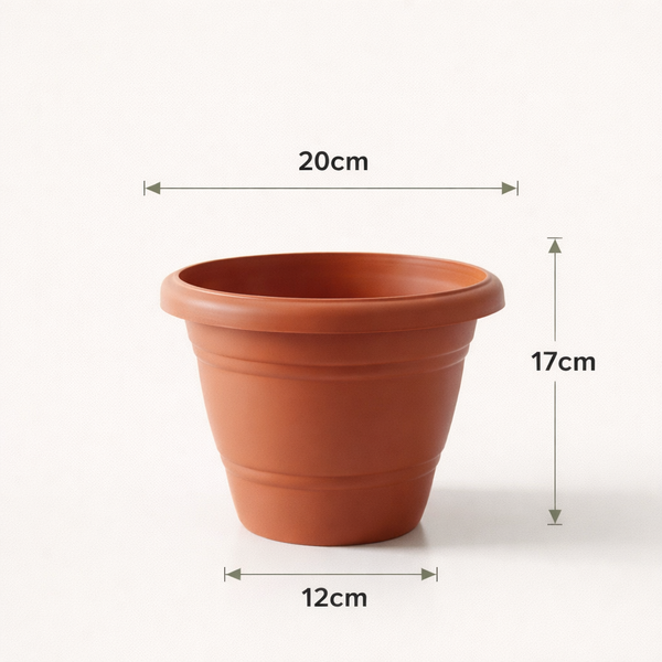 Gardening Pots with Plates - Terracotta Color (8 Inch) (Set of 3,5,10)