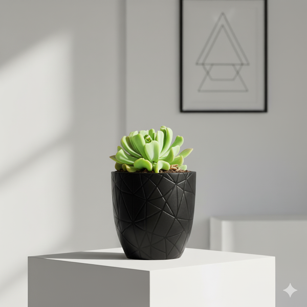 Echeveria Runyonii Topsy-turvy