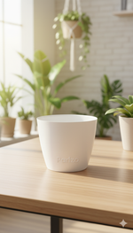 Nobel - 6  4 1/2 Inch